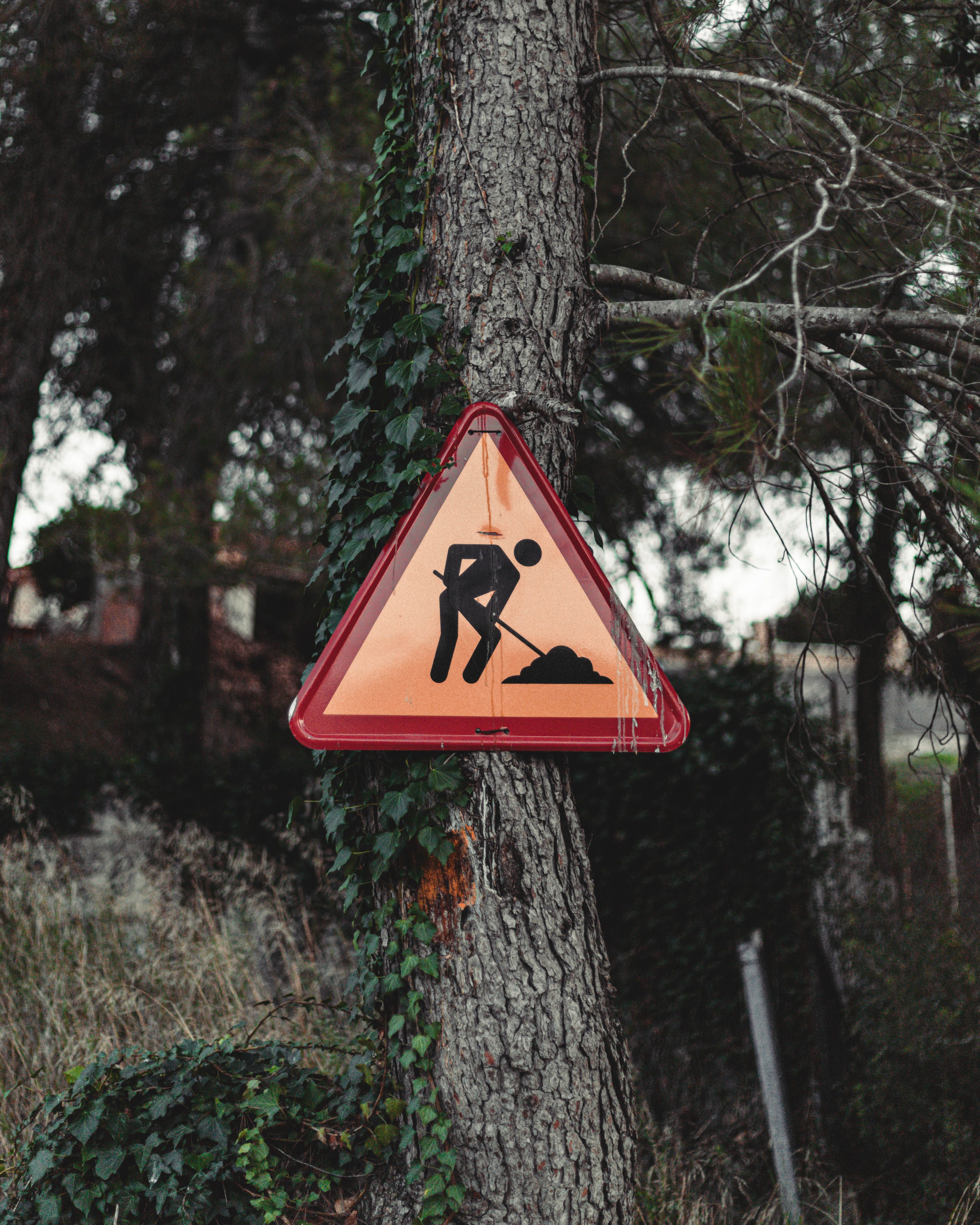 Baustelle als Symbol für die laufende Überarbeitung der Webseite